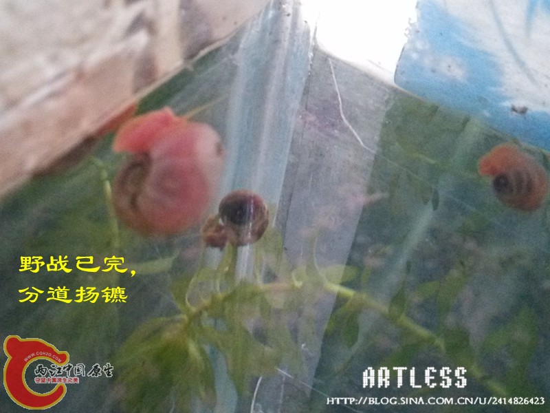 IMG_20130531_192241_副本.jpg