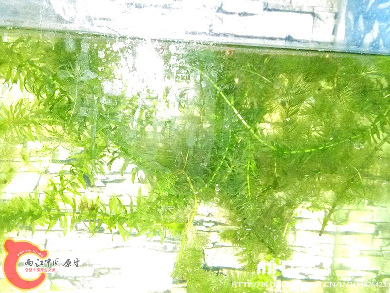 IMG_20130531_192840_副本.jpg