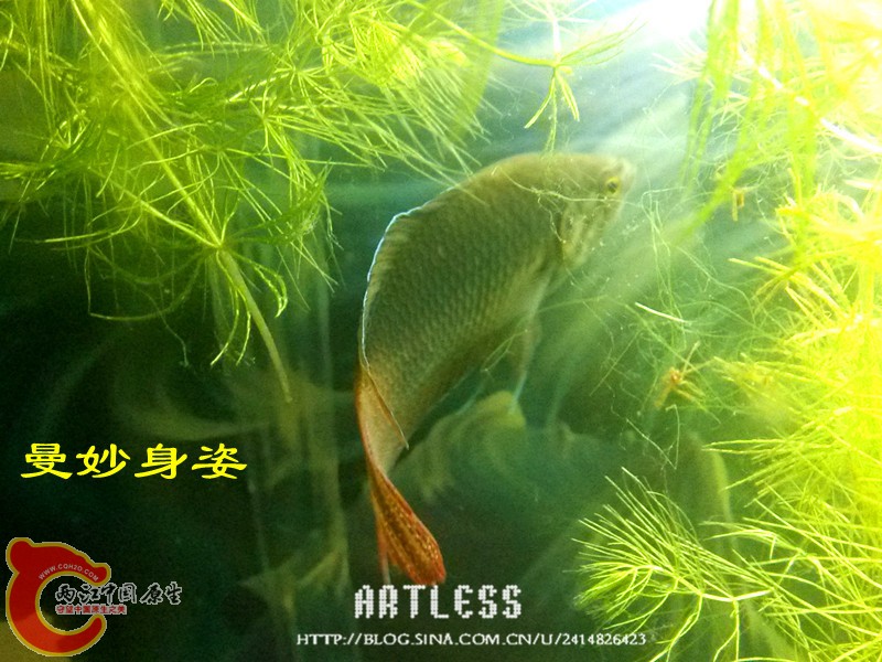 IMG_20130531_193436_副本.jpg