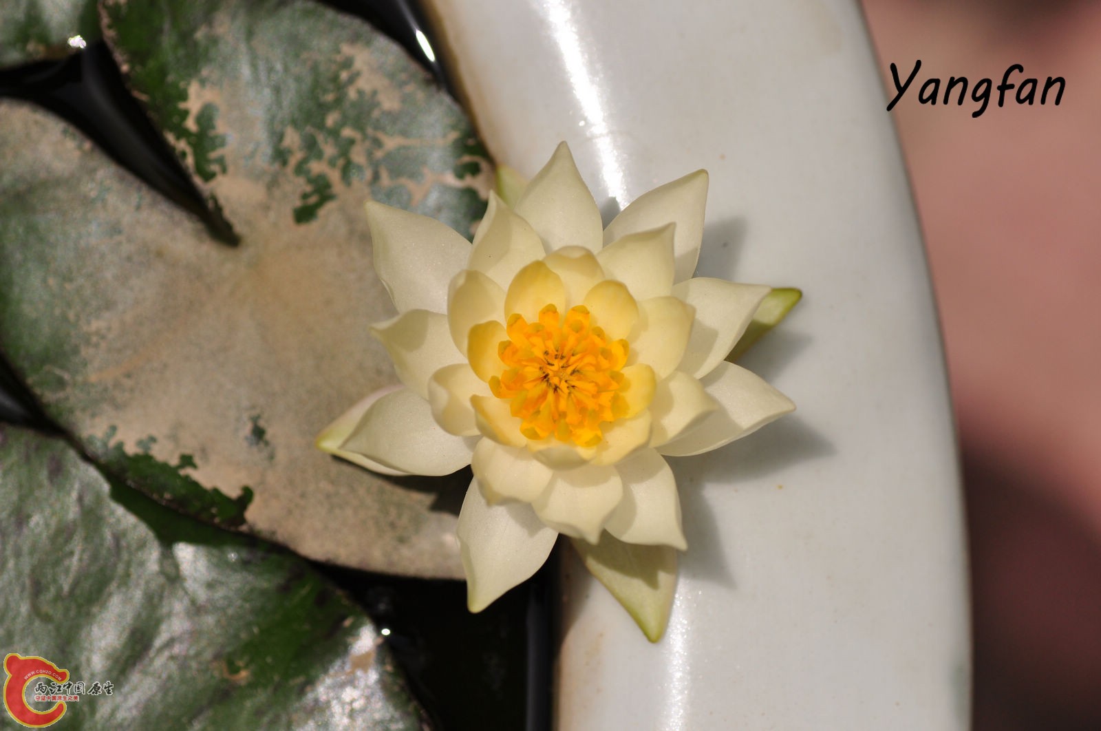 DSC_0024.jpg