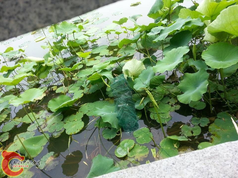 QQ图片20130601142156.jpg