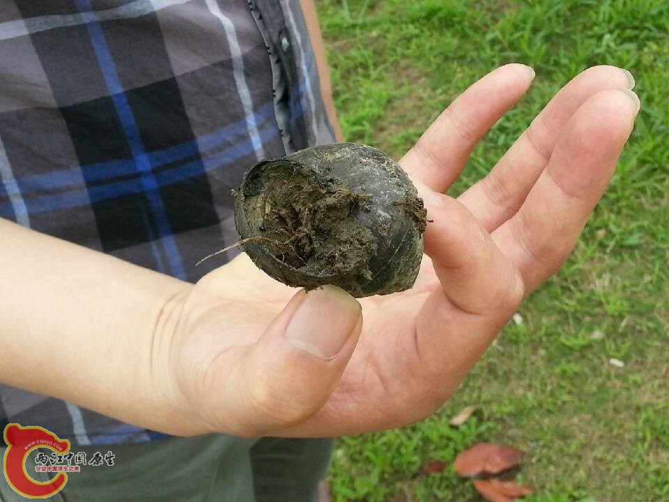 QQ图片20130601142044.jpg