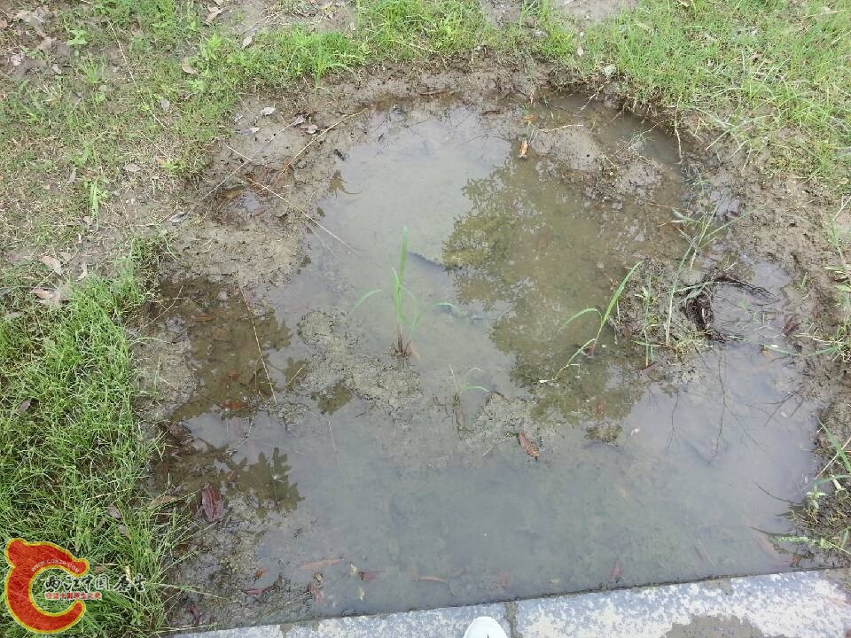 QQ图片20130601142717.jpg