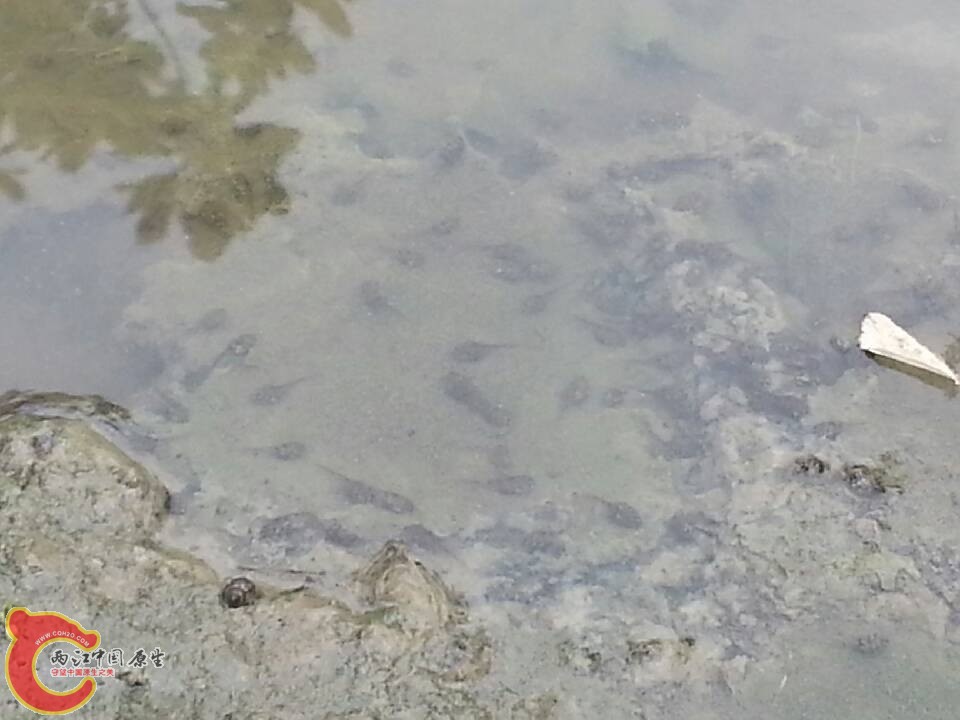QQ图片20130601142019.jpg