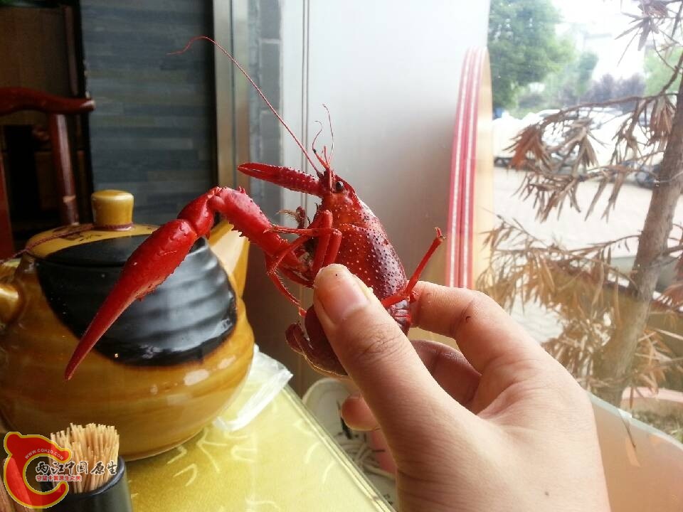 QQ图片20130601142115.jpg