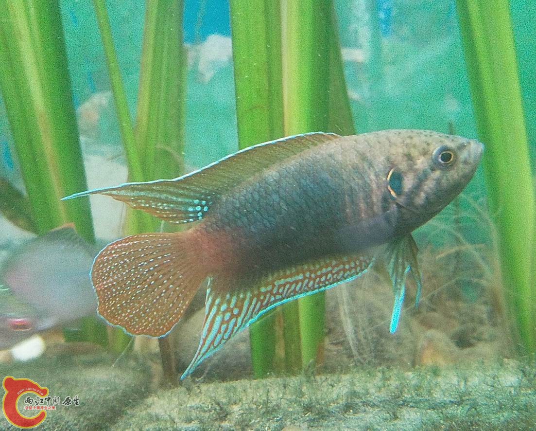 照片4164.jpg