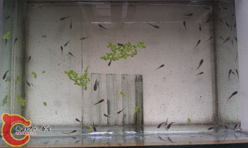 IMAG1004_副本.jpg