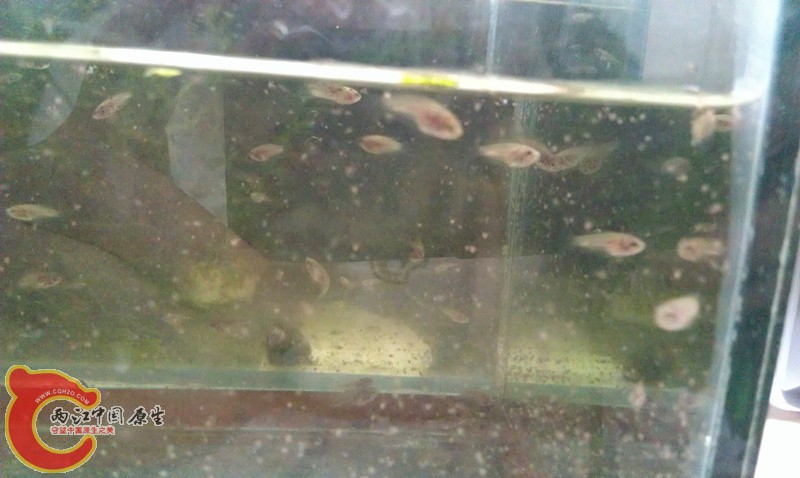 IMAG1006_副本.jpg
