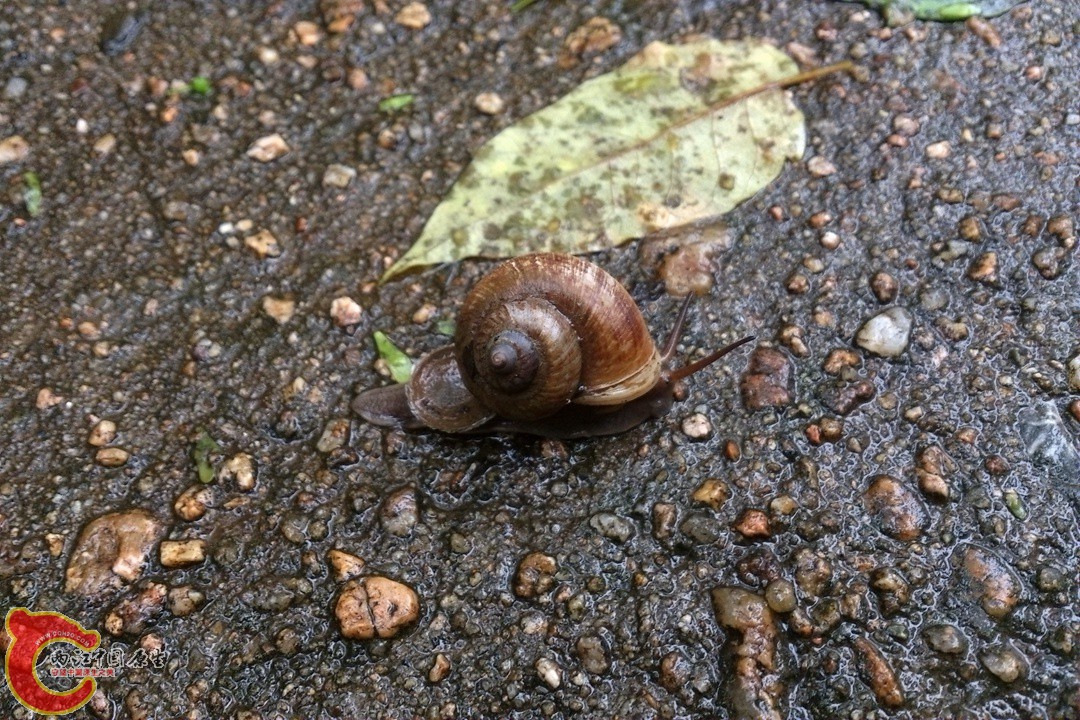 DSC_0373_副本.jpg