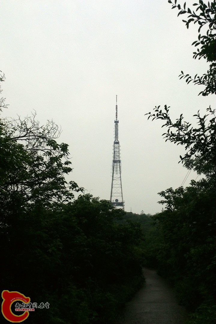 DSC_0382_副本.jpg