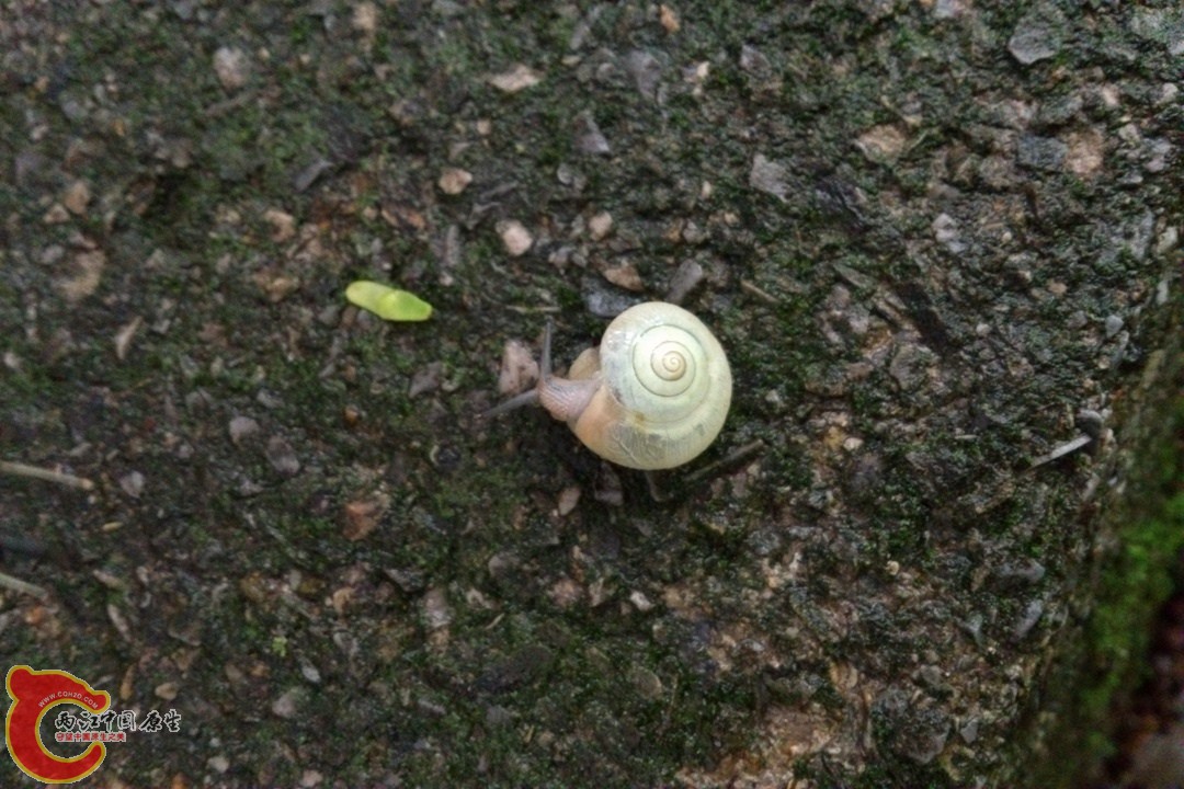 DSC_0396_副本.jpg