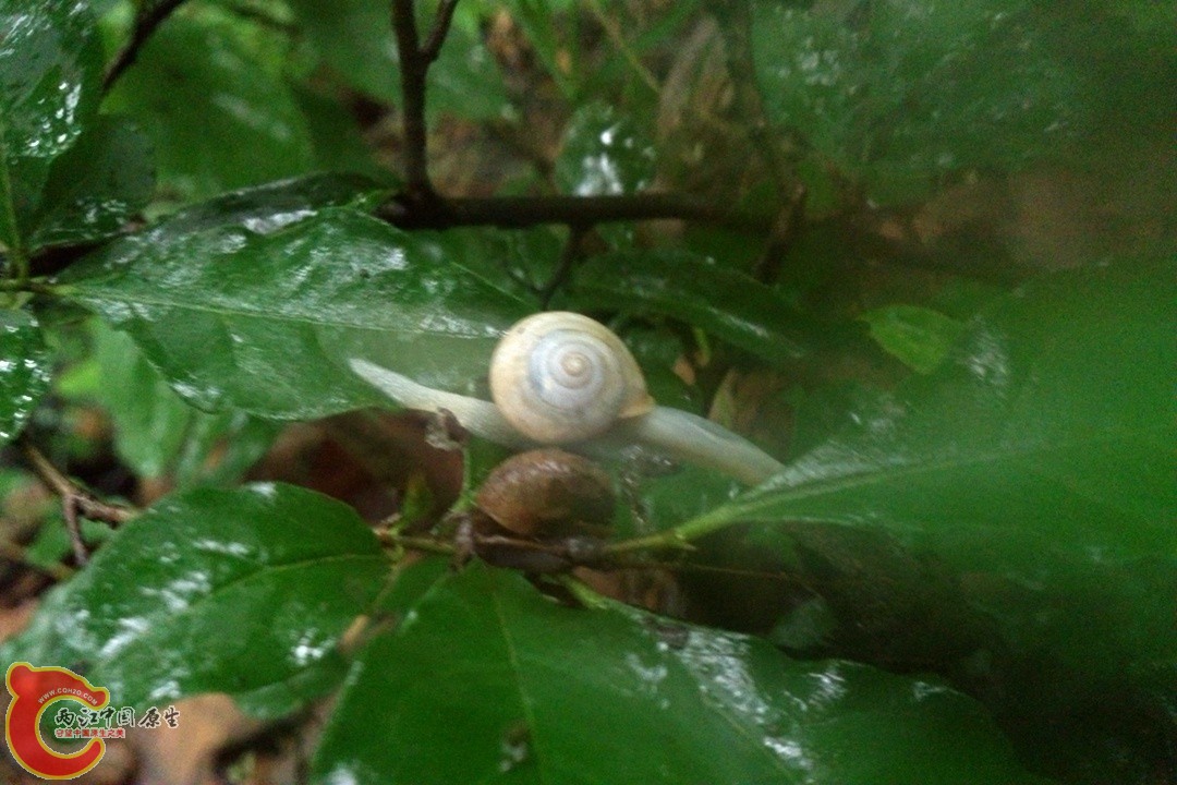 DSC_0409_副本.jpg