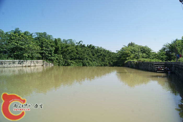 04.jpg