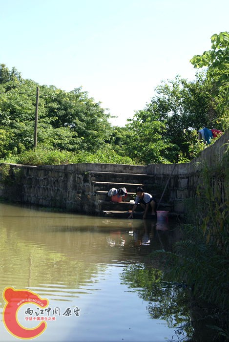 05.jpg