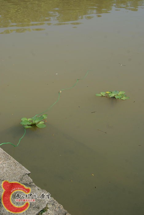 06.jpg