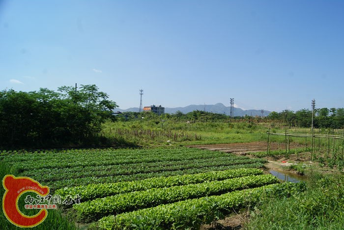 08.jpg