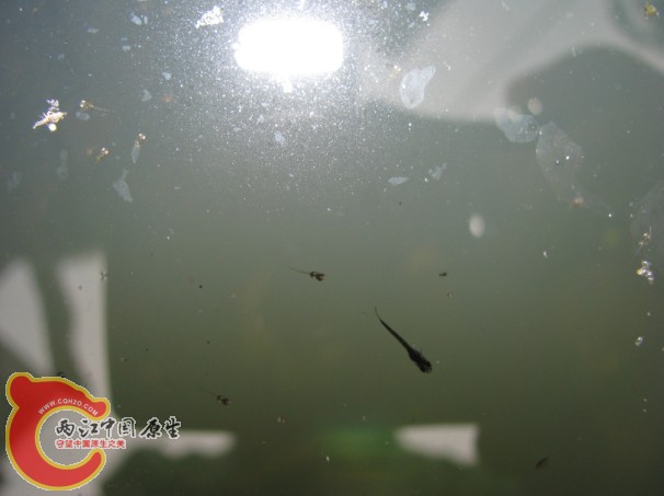 AUHOGMI6}]P{CD)ZDHIY3}5.jpg
