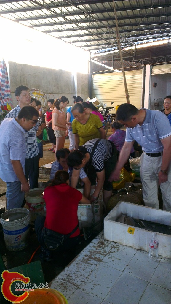 你们抢吧~我慢慢等