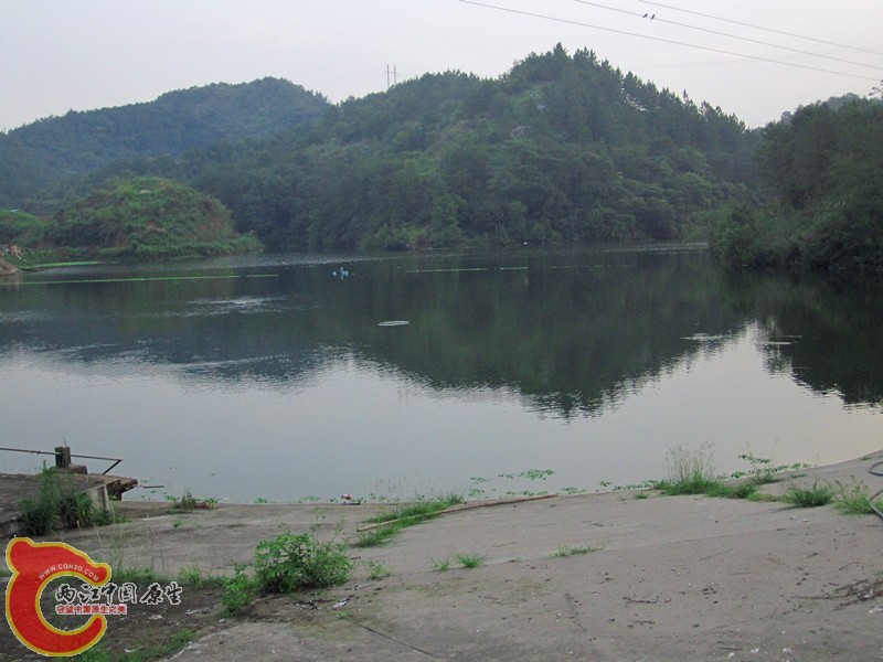 IMG_7217_副本.jpg