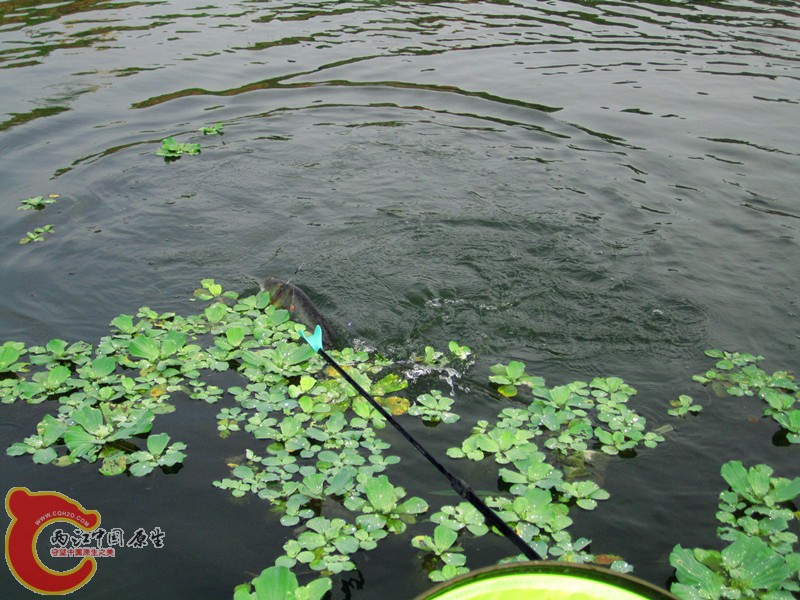 IMG_7236_副本.jpg
