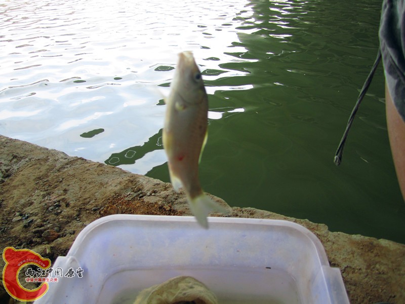 IMG_7266_副本.jpg