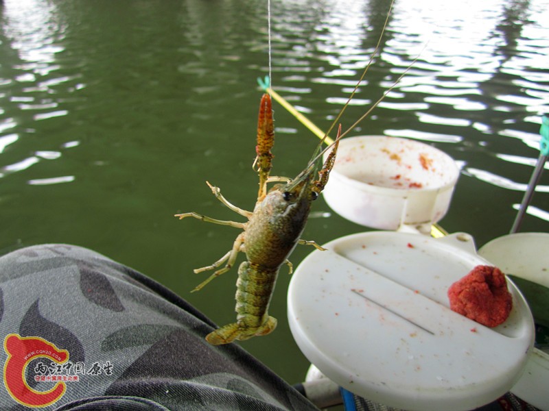 IMG_7268_副本.jpg