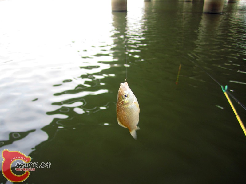 IMG_7276_副本.jpg