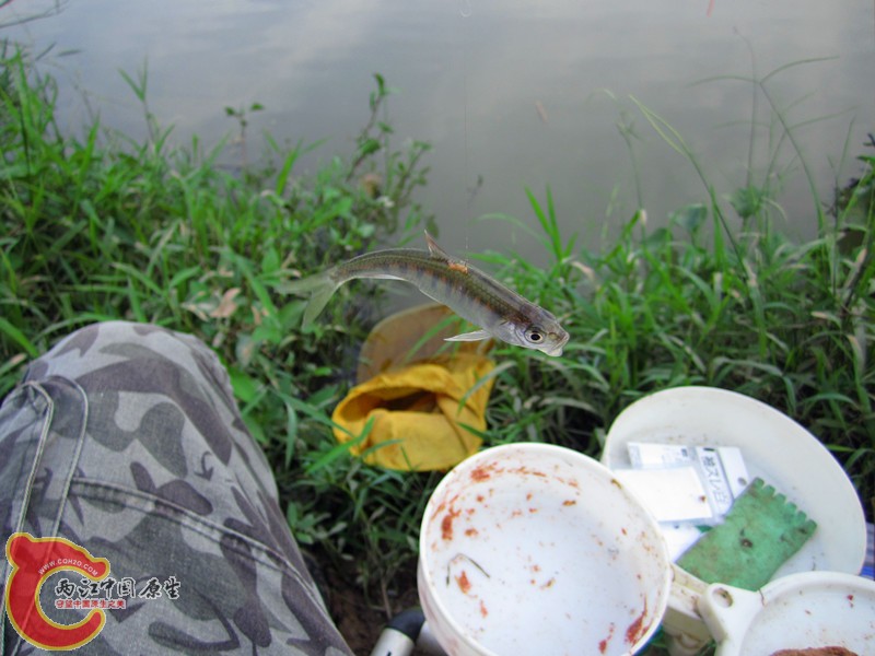 IMG_7289_副本.jpg