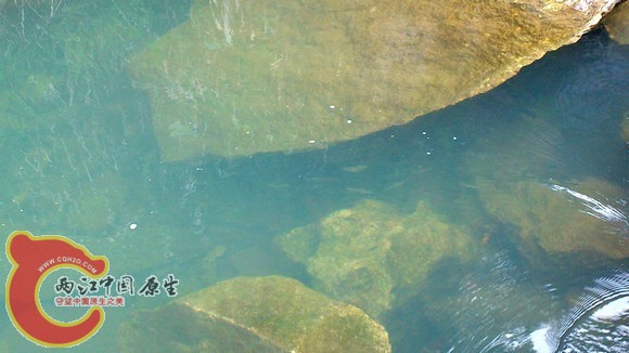 水底的宽.jpg