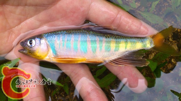 DSC_1128_nEO_IMG.jpg