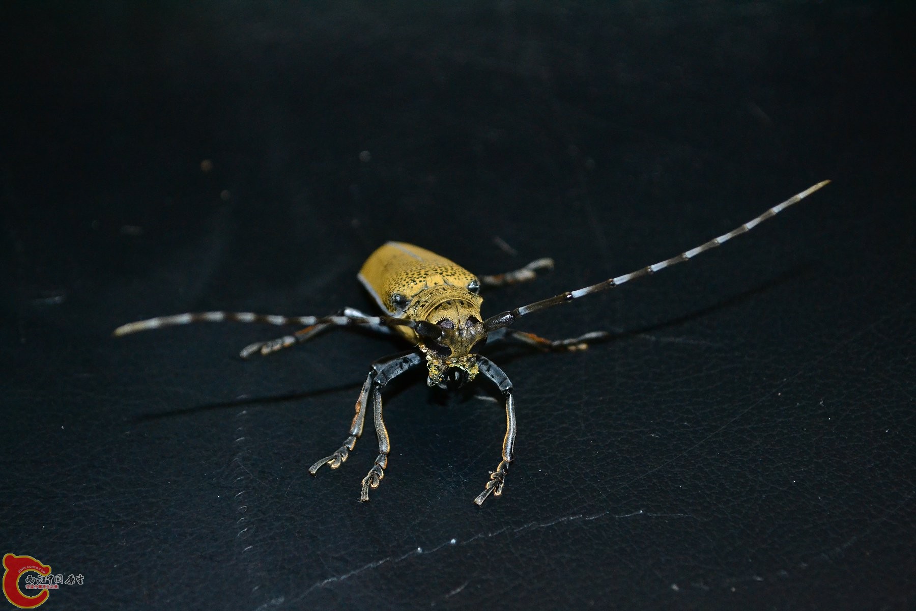 DSC_0012.JPG