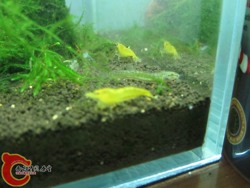 IMG_2064_调整大小.JPG