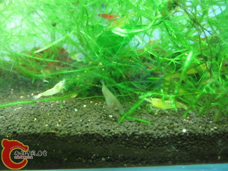 IMG_2067_调整大小.JPG
