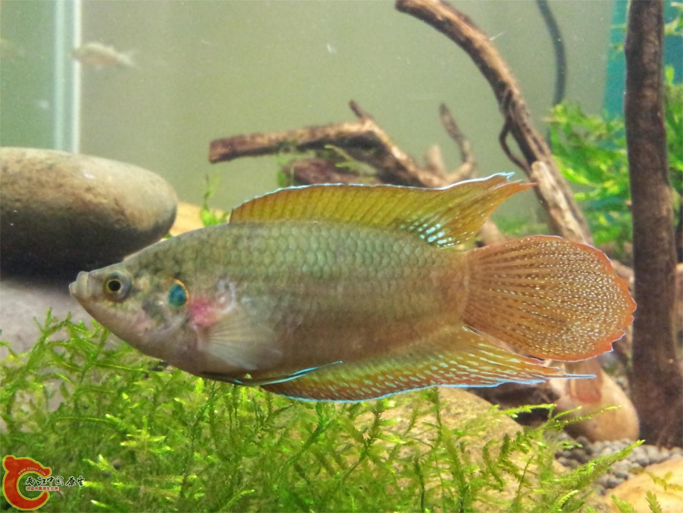 20130603_214534.jpg