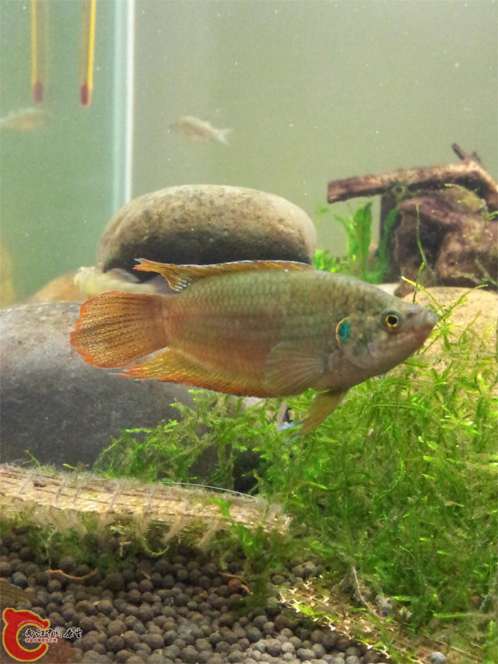 20130603_214601.jpg