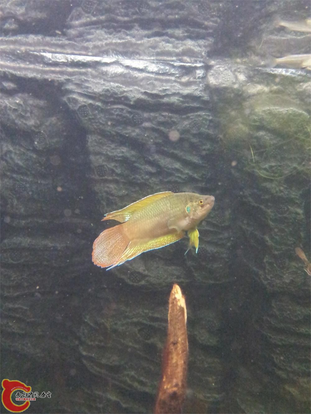 20130603_214740.jpg