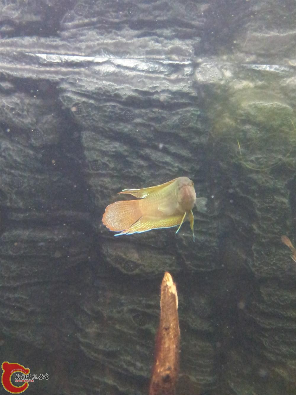 20130603_214745.jpg