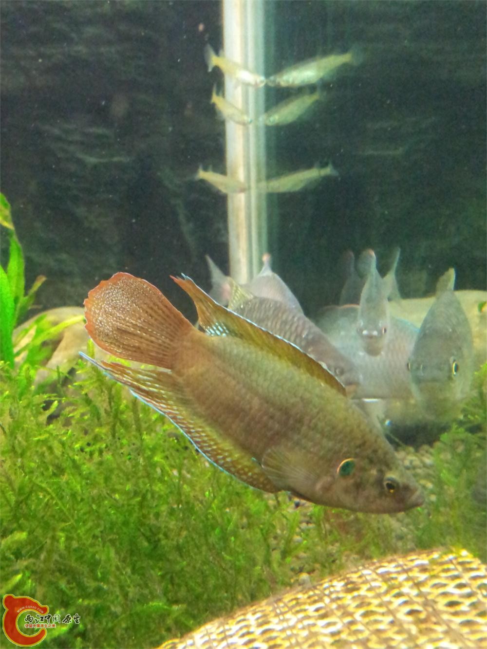 20130603_214815.jpg
