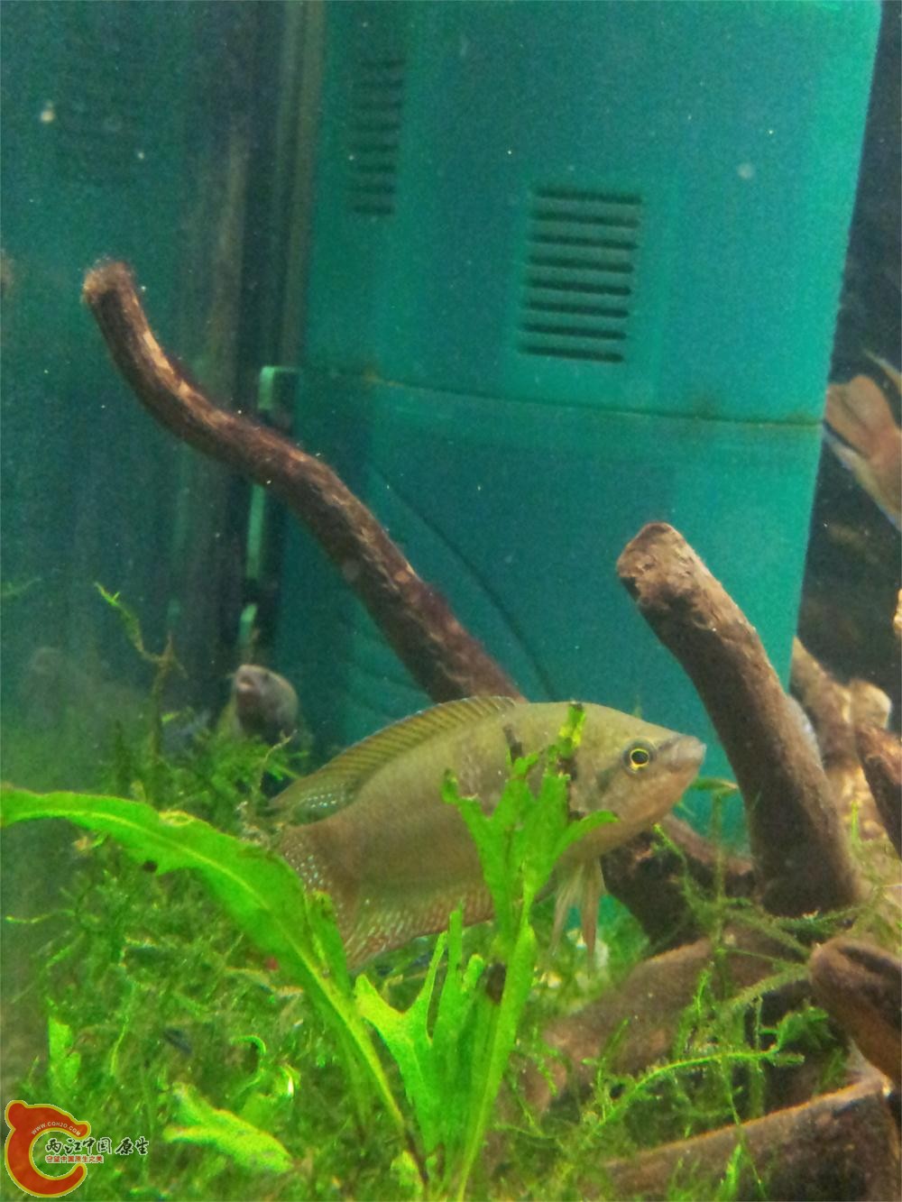 20130603_214829.jpg