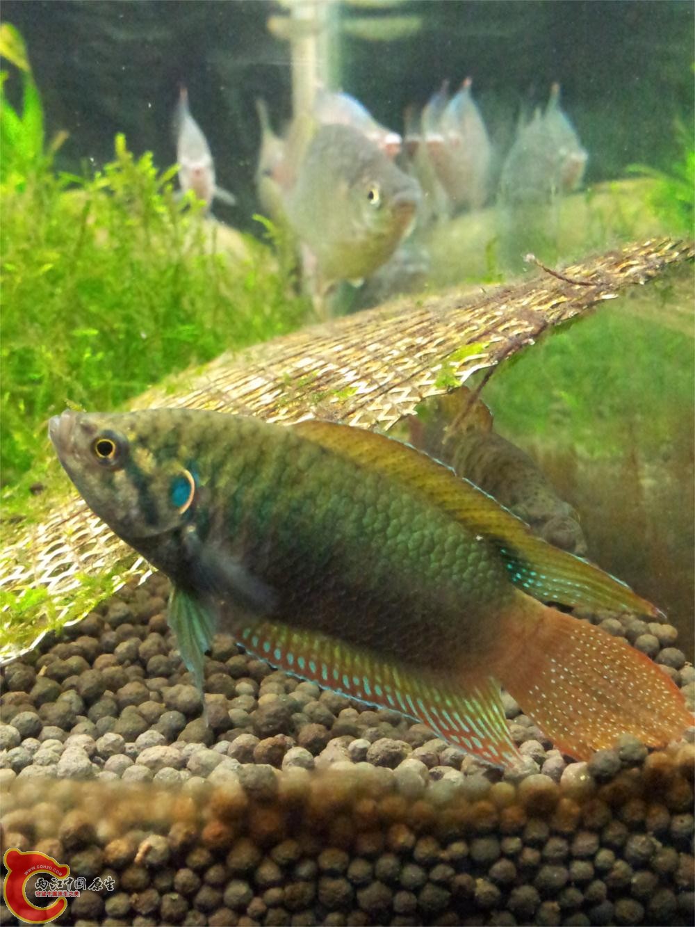 20130603_214859.jpg