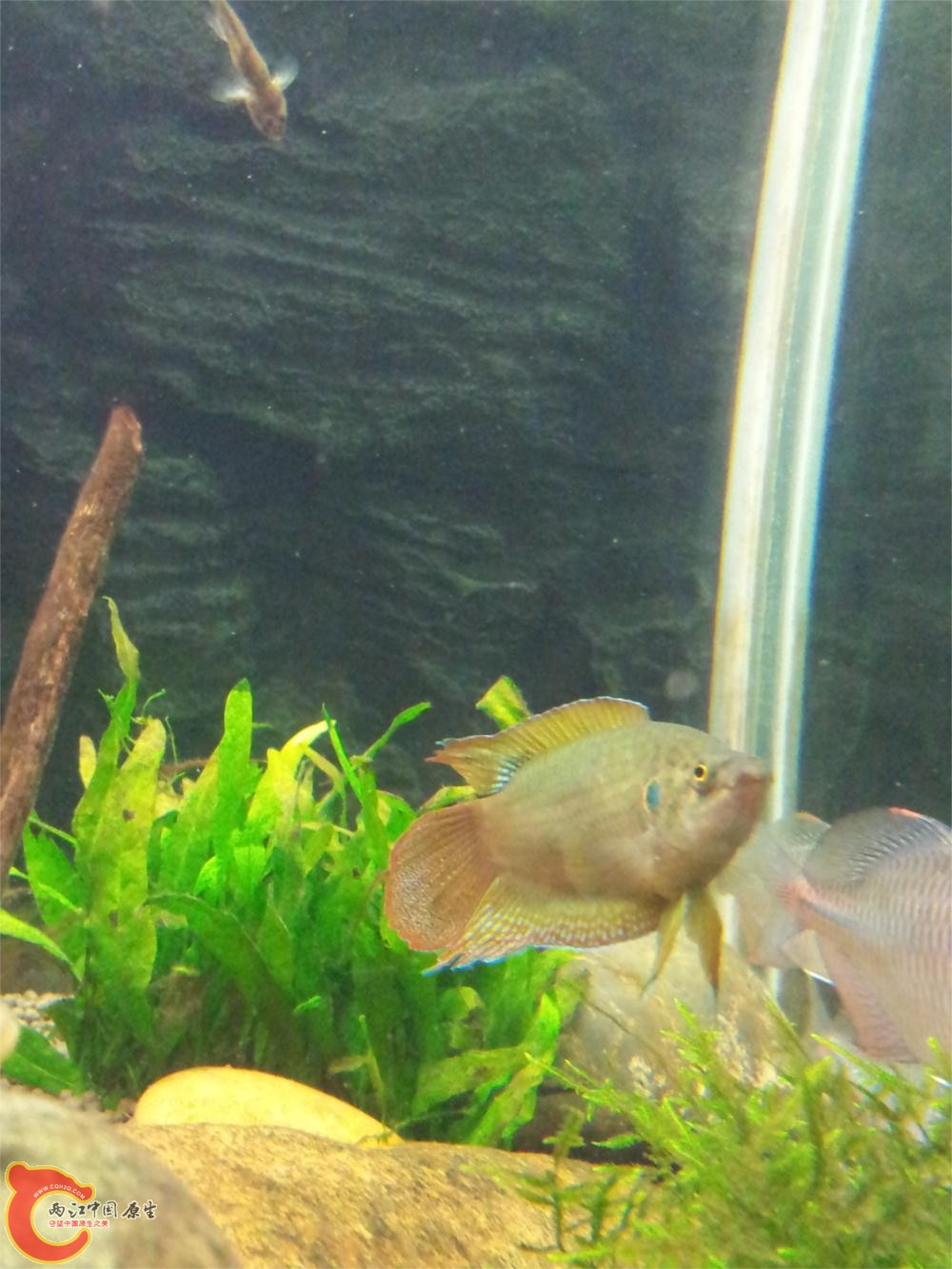 20130603_215023.jpg
