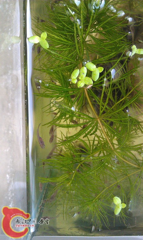 IMAG1030_副本.jpg