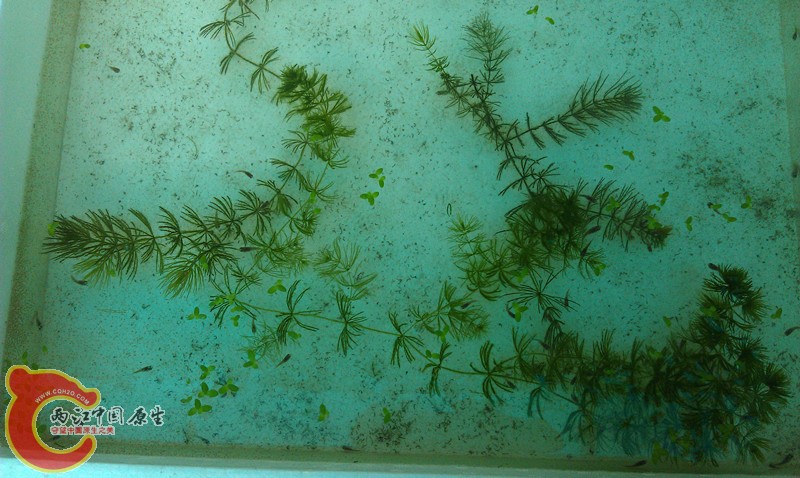 IMAG1032_副本.jpg