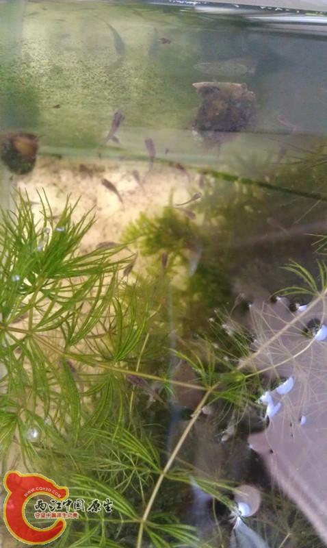 IMAG1029_副本.jpg
