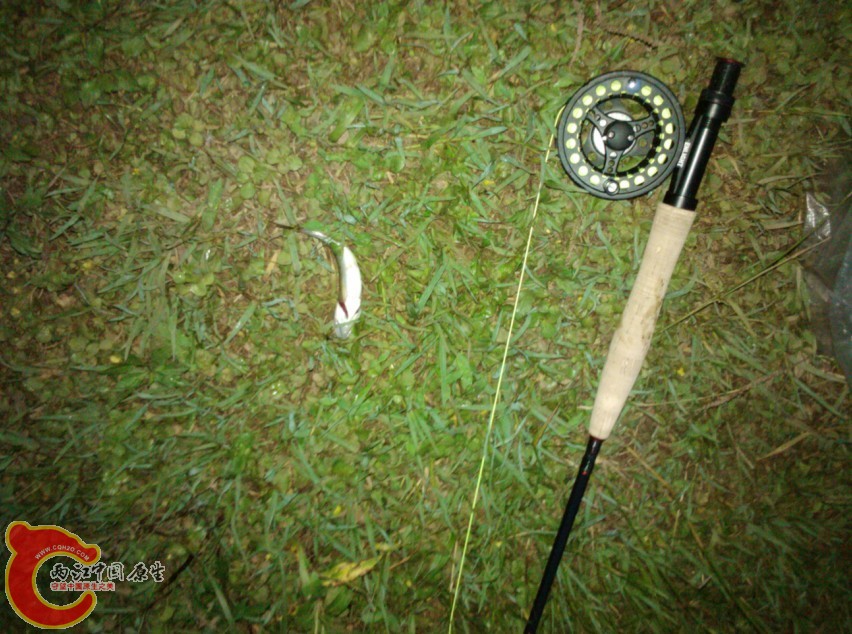 飞马口3.jpg
