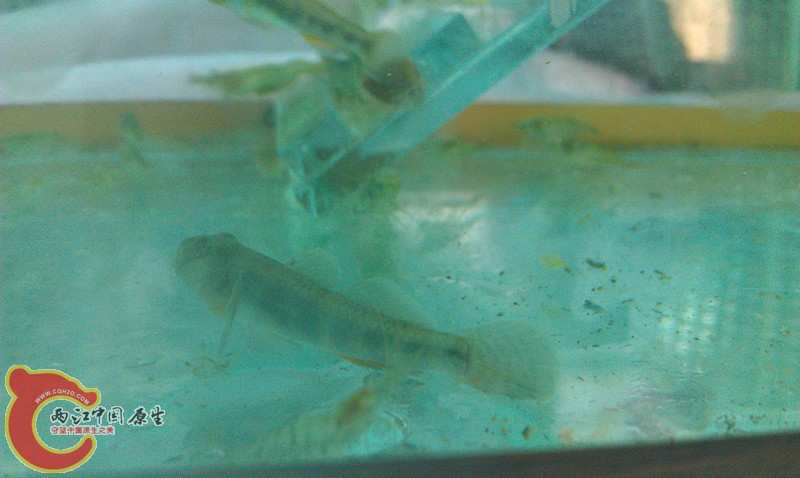 IMAG1046_副本.jpg