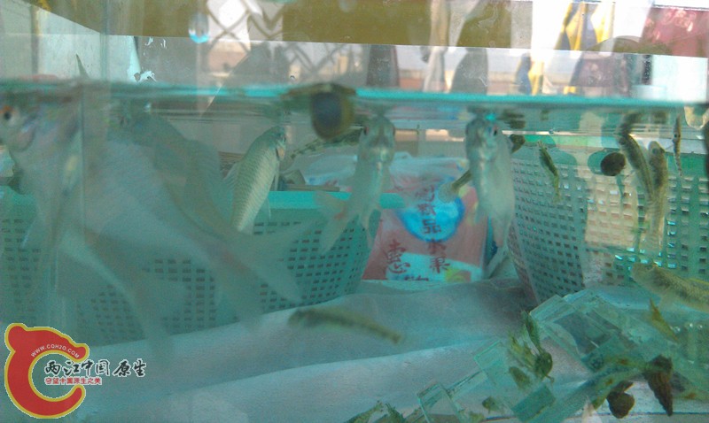 IMAG1054_副本.jpg