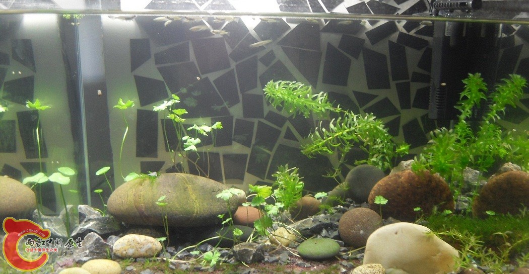 SDC12002.JPG SDC12002.JPG