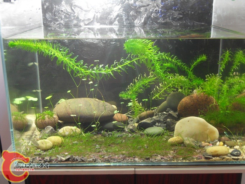 SDC12079.JPG SDC12079.JPG