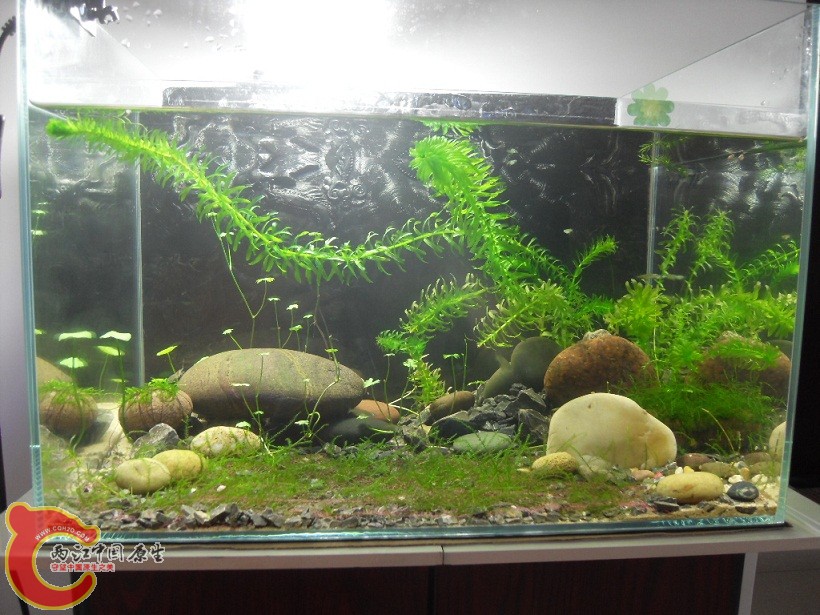 SDC12091.JPG SDC12091.JPG